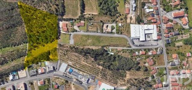 Acheter Terrain Leiria r�gion LEIRIA