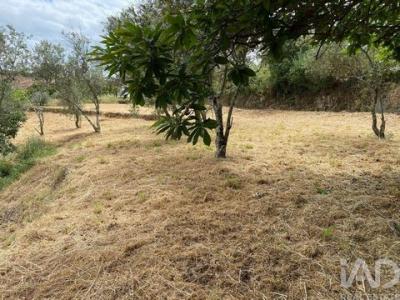 Vente Maison Covilha  05 au Portugal