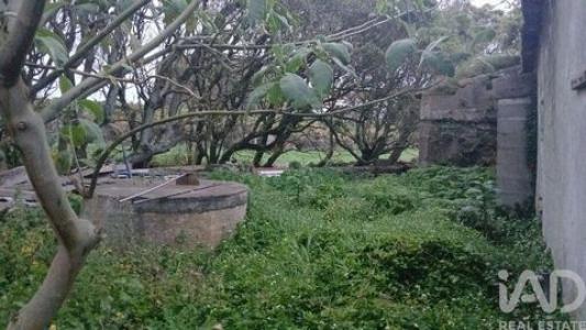 Acheter Maison 99 m2 Praia-da-vitoria