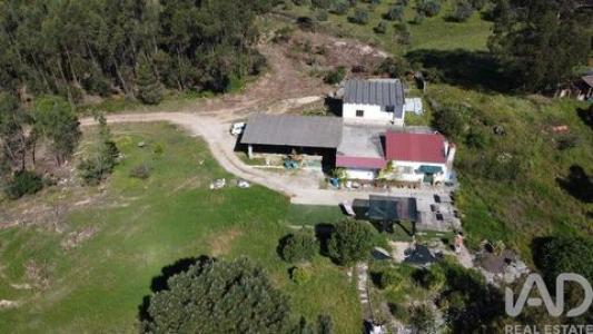 Annonce Vente Terrain Santarem