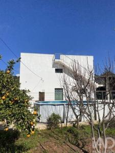 Acheter Local industriel Sao-bras-de-alportel r�gion FARO