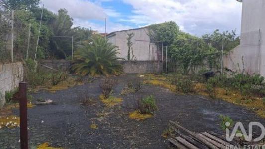 Annonce Vente Terrain Sesimbra