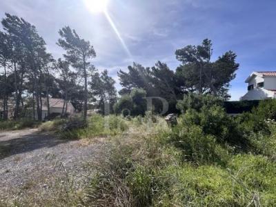 Vente Terrain Alcabideche ALCABIDECHE 11