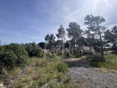 Acheter Terrain 255 m2 Alcabideche