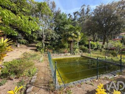 Acheter Terrain 1807 m2 Barcelos