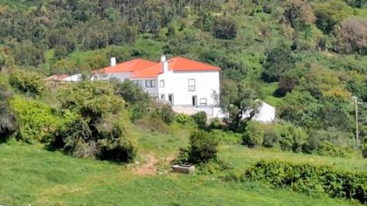 Annonce Location 2 pi�ces Maison Mafra