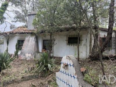 Acheter Terrain Sesimbra r�gion SETUBAL