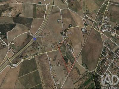 Annonce Vente Terrain Santarem