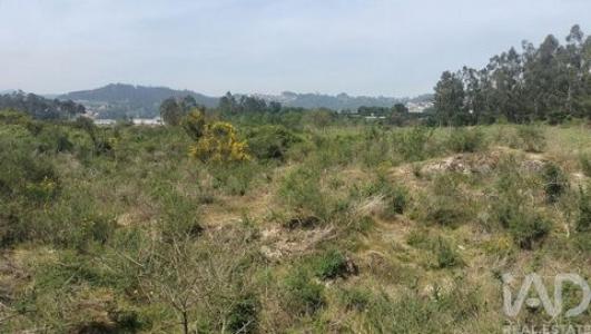 Acheter Terrain 9200 m2 Paredes
