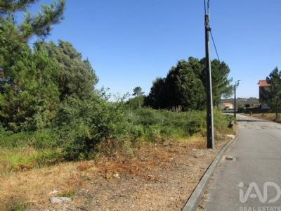 Acheter Terrain Vila-nova-de-gaia r�gion PORTO