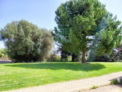 Acheter Appartement 66 m2 Tavira