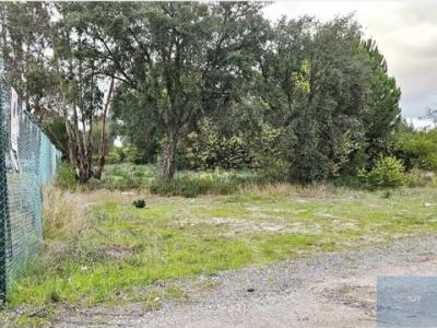 Acheter Terrain 32767 m2 Canha