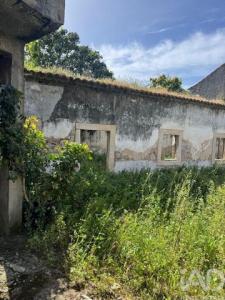 Annonce Vente Terrain Alcanena