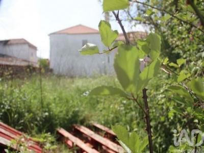Acheter Terrain 324 m2 Alcanena