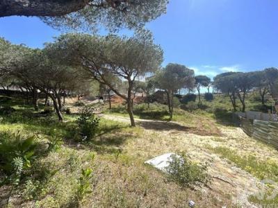 Acheter Terrain 1200 m2 Loule