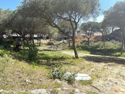 Acheter Terrain Loule r�gion FARO