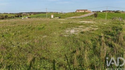 Annonce Vente Terrain Ourique