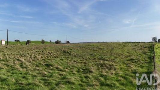 Acheter Terrain 5525 m2 Ourique