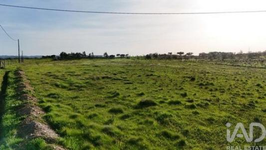 Acheter Terrain Ourique r�gion BEJA