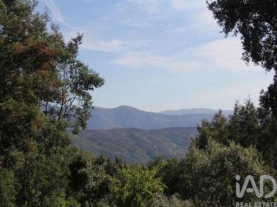Annonce Vente Terrain Oliveira-do-hospital