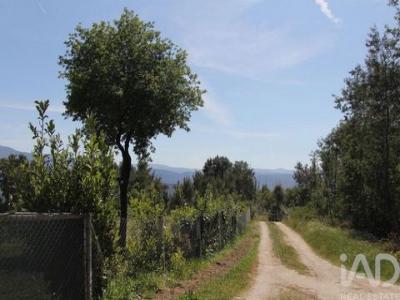 Acheter Terrain Oliveira-do-hospital r�gion COIMBRA
