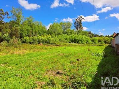 Annonce Vente Terrain Ovar