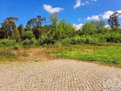 Acheter Terrain 3000 m2 Ovar