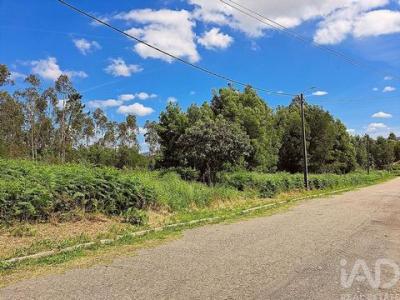 Annonce Vente Terrain Ovar