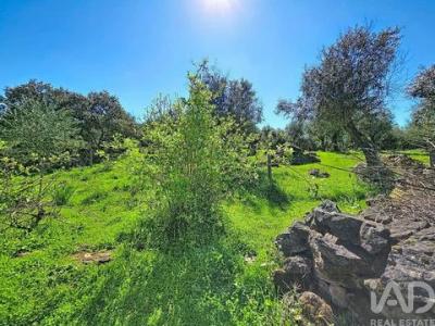 Acheter Maison Borba r�gion EVORA