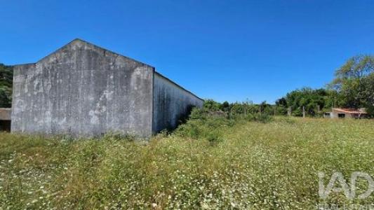 Acheter Local commercial 133 m2 Loule