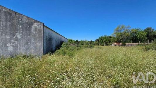 Acheter Local commercial Loule r�gion FARO