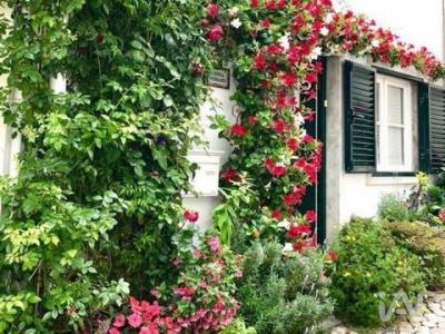 Annonce Vente Maison Cascais