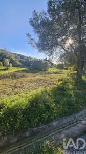 Annonce Vente Terrain Loule
