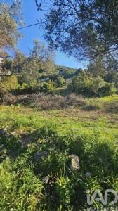 Acheter Terrain 7500 m2 Loule