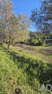 Acheter Terrain Loule r�gion FARO