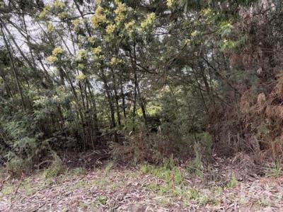 Acheter Terrain Santa-cruz r�gion LISBOA