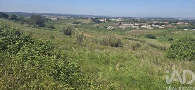 Vente Terrain Cadaval  11 au Portugal