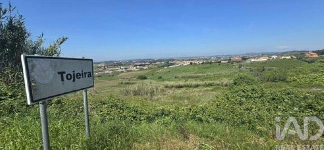 Annonce Vente Terrain Cadaval