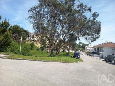 Annonce Vente Terrain Rio-maior