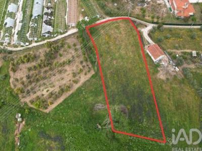 Annonce Vente Terrain Porto-de-mos