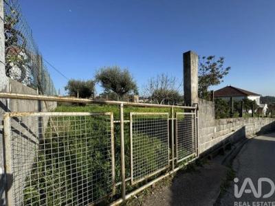 Vente Terrain Tomar  14 au Portugal