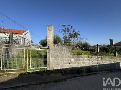 Acheter Terrain 445 m2 Tomar