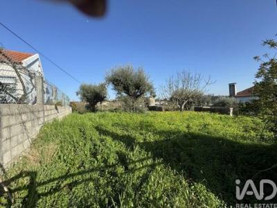 Acheter Terrain Tomar r�gion SANTAREM