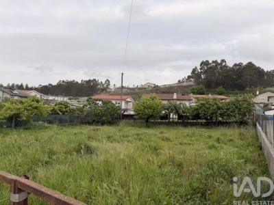 Acheter Terrain 560 m2 Oliveira-de-azemeis