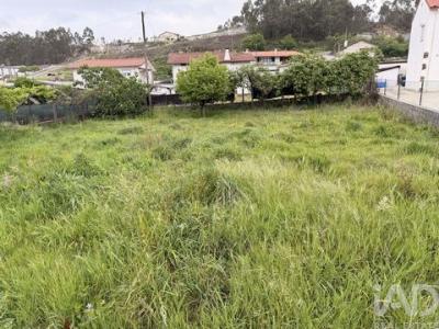 Acheter Terrain Oliveira-de-azemeis r�gion AVEIRO