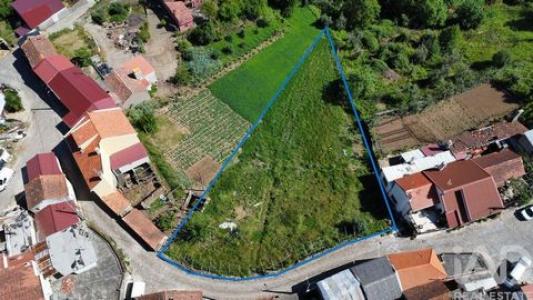 Acheter Terrain Figueiro-dos-vinhos r�gion LEIRIA