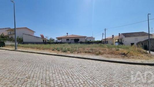 Annonce Vente Terrain Celorico-da-beira