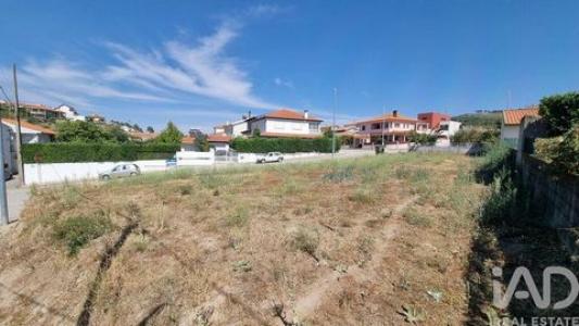 Acheter Terrain Celorico-da-beira r�gion GUARDA
