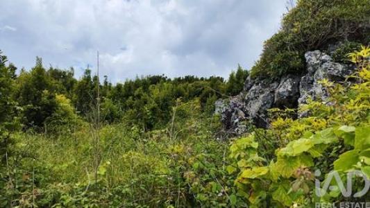 Acheter Terrain Santa-cruz-da-graciosa r�gion ACORES