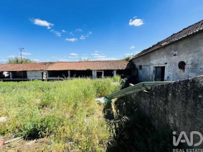 Acheter Maison Ourem r�gion SANTAREM
